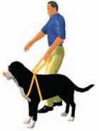Graphic of a pedestrian with a guide dog