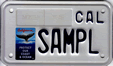 Graphic of the Whale Head License Plate