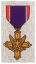 distinguished service cross for legion of valor plate