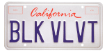 enviornmental (personalized) license plate
