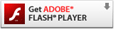 Flash icon