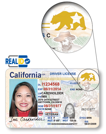 image of real ID highlighting upper right golden bear symbol 