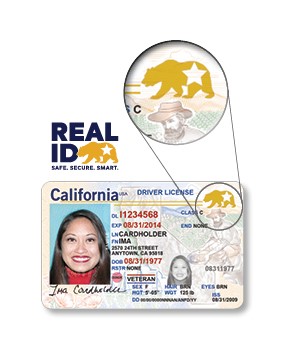 Image of REAL ID Driver License with arrow pointing to the gold star and bear