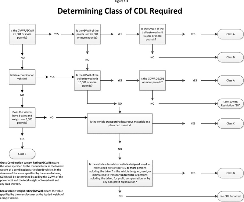 Section 1: Introduction - California DMV