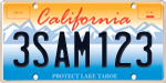 2016 CALIFORNIA License Plate - 8CWZ959