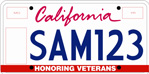 Veterans' Organizations special interest license plate.